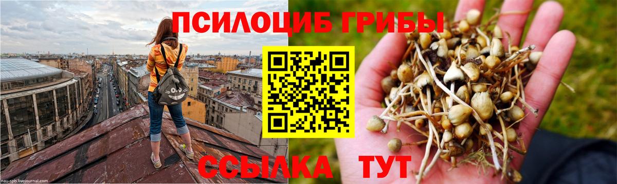 Губаха  Галлюциногенные грибы GOLDEN TEACHER  Вход с VPN 